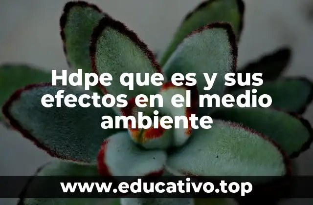 Hdpe que es y sus efectos en el medio ambiente