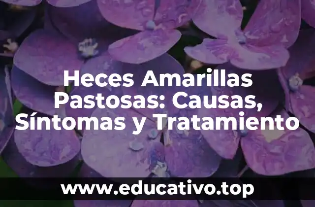 Heces Amarillas Pastosas: Causas, Síntomas y Tratamiento