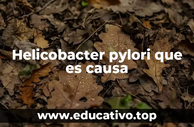 El impacto del Helicobacter pylori en la salud digestiva