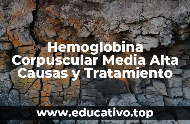Hemoglobina Corpuscular Media Alta Causas y Tratamiento