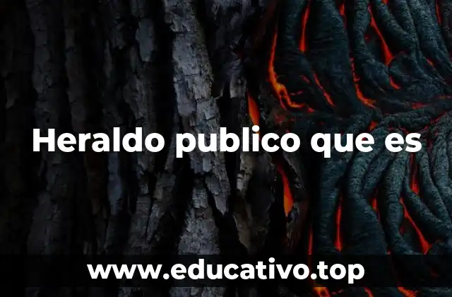 Heraldo publico que es