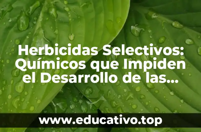 Herbicidas Selectivos: Químicos que Impiden el Desarrollo de las Hierbas