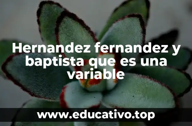 Hernandez fernandez y baptista que es una variable