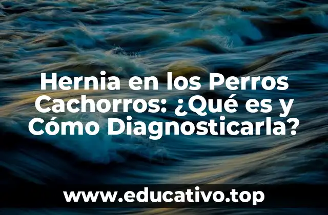 Hernia en los Perros Cachorros: ¿Qué es y Cómo Diagnosticarla?