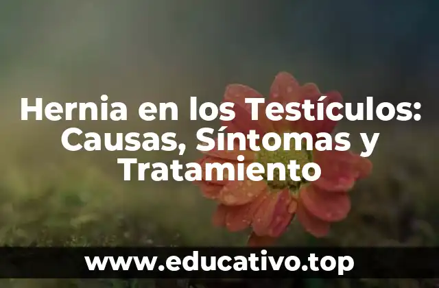 Hernia en los Testículos: Causas, Síntomas y Tratamiento