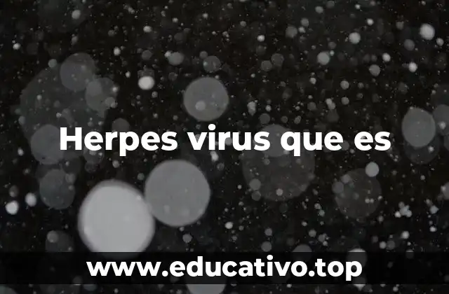 Herpes virus que es