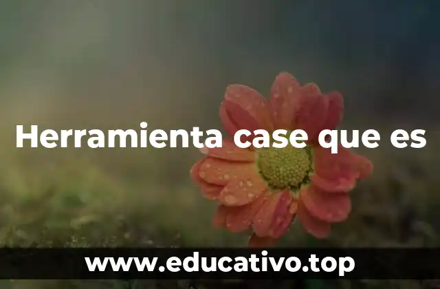 Herramienta case que es
