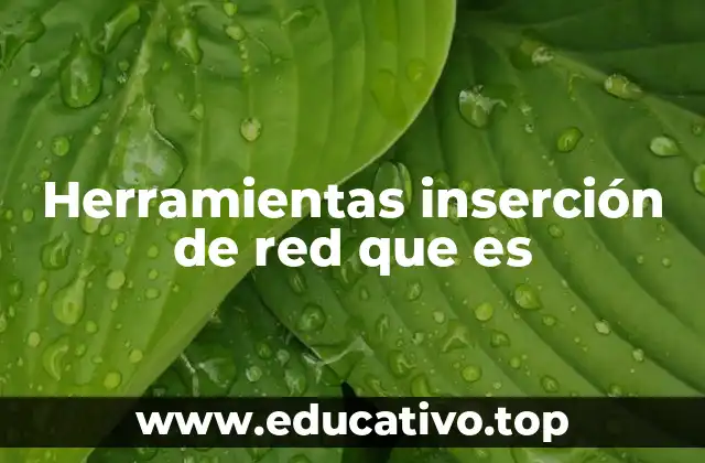 Herramientas inserción de red que es