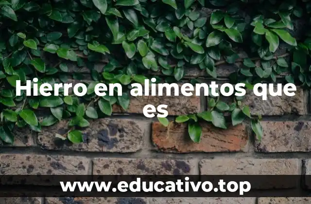 Hierro en alimentos que es