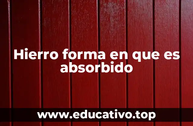 Hierro forma en que es absorbido