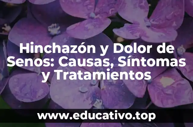 Hinchazón y Dolor de Senos: Causas, Síntomas y Tratamientos