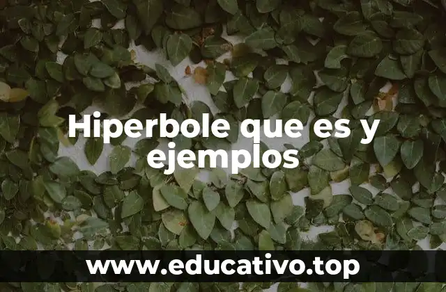 Hiperbole que es y ejemplos