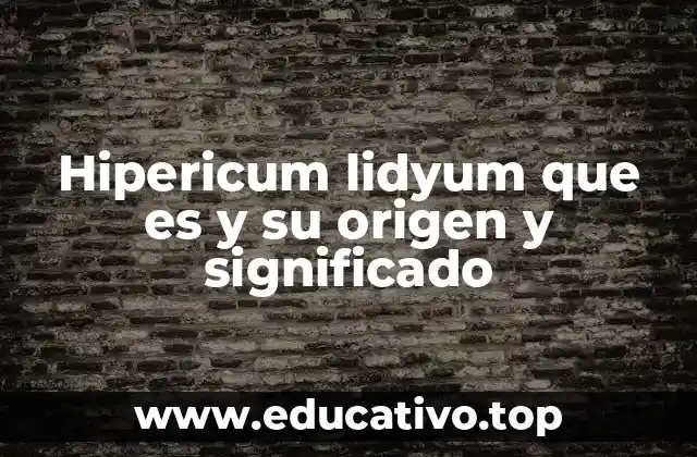 Hipericum lidyum que es y su origen y significado