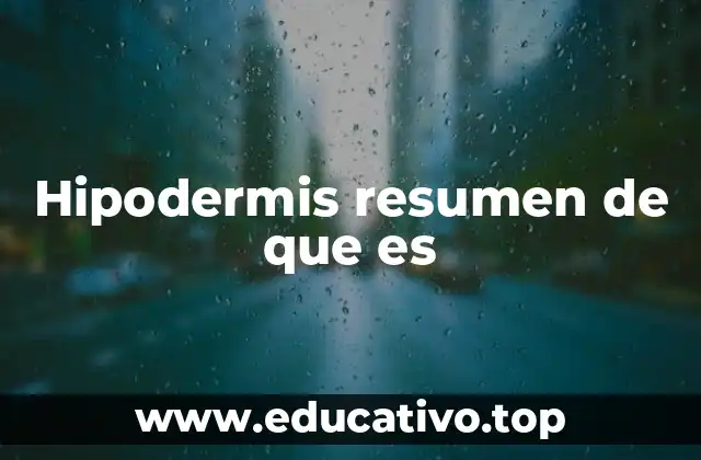 La capa subcutánea y su importancia en la anatomía