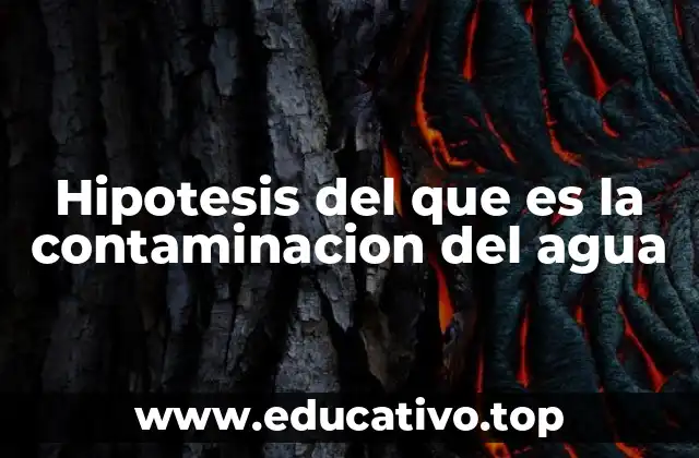 Hipotesis del que es la contaminacion del agua