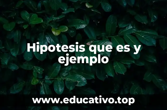 El papel de la hipótesis en el proceso de investigación