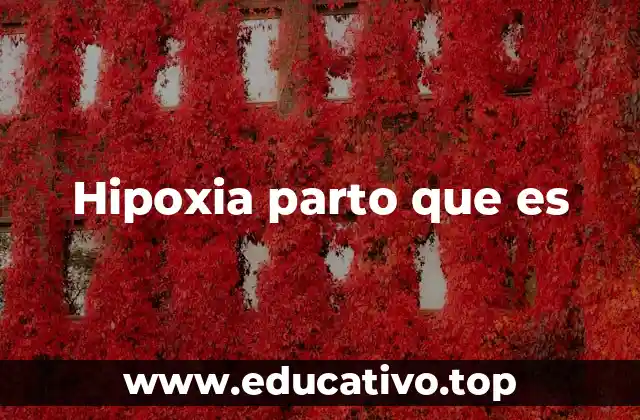 Hipoxia parto que es