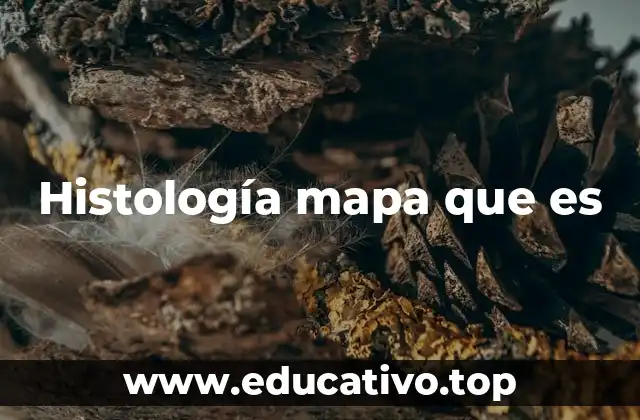Histología mapa que es