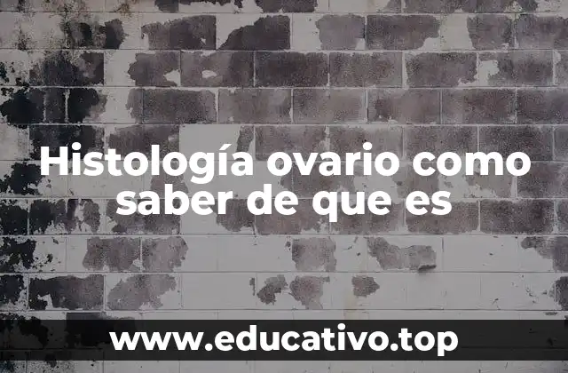 Histología ovario como saber de que es