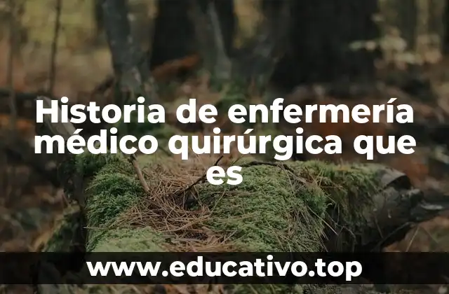 Historia de enfermería médico quirúrgica que es