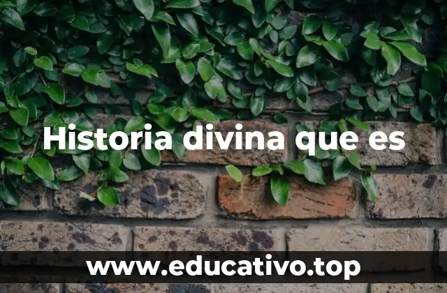 Historia divina que es