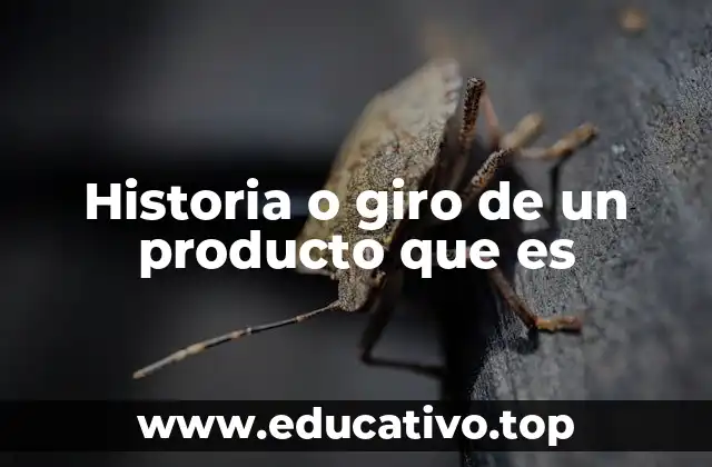 Historia o giro de un producto que es