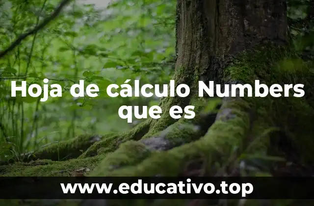 Hoja de cálculo Numbers que es