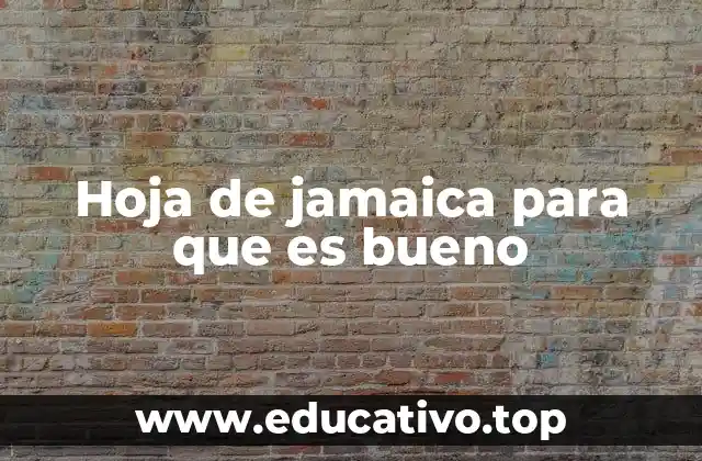 Hoja de jamaica para que es bueno