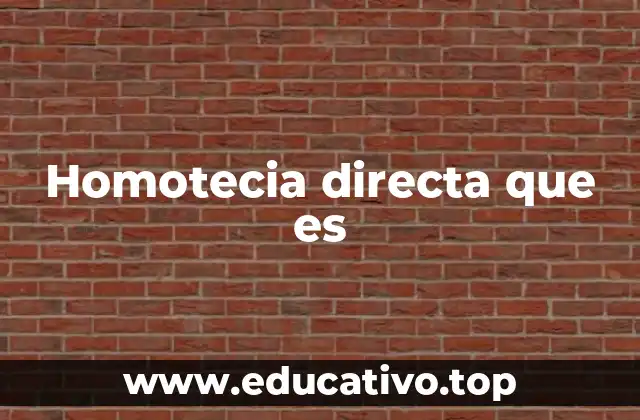 Homotecia directa que es