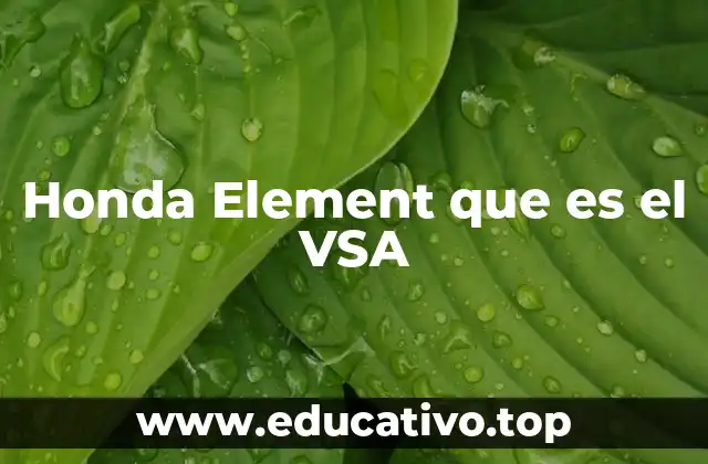 Honda Element que es el VSA