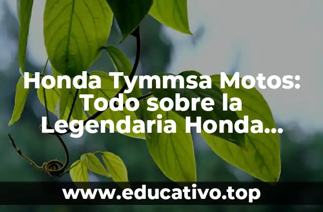 Honda Tymmsa Motos: Todo sobre la Legendaria Honda Tymmsa