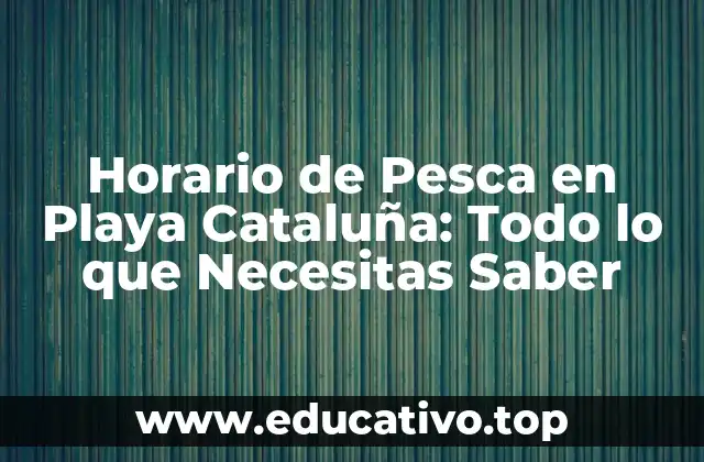 Horario de Pesca en Playa Cataluña: Todo lo que Necesitas Saber