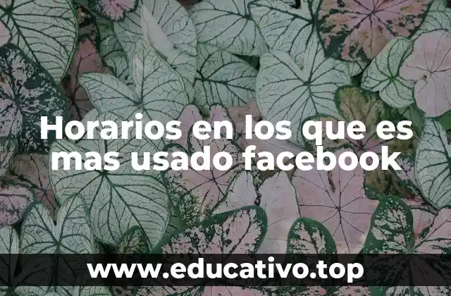 Cómo afectan los horarios de uso a la interacción en Facebook