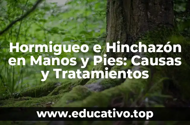 Hormigueo e Hinchazón en Manos y Pies: Causas y Tratamientos