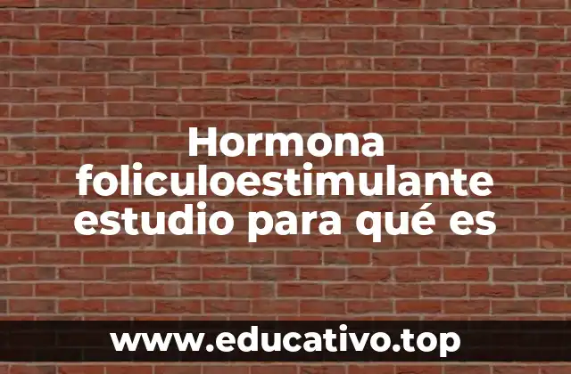 Hormona foliculoestimulante estudio para qué es