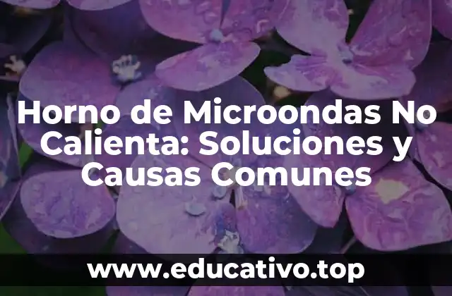 Horno de Microondas No Calienta: Soluciones y Causas Comunes