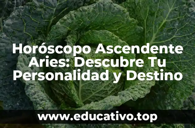Horóscopo Ascendente Aries: Descubre Tu Personalidad y Destino