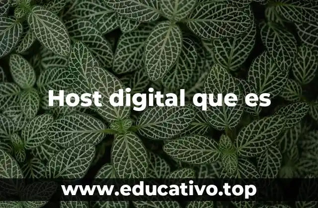 Host digital que es