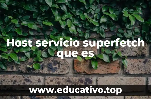 Host servicio superfetch que es