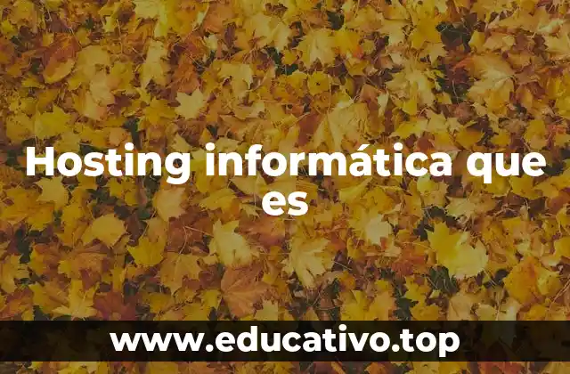 Hosting informática que es