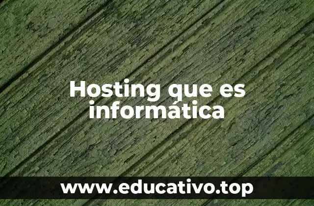 Hosting que es informática