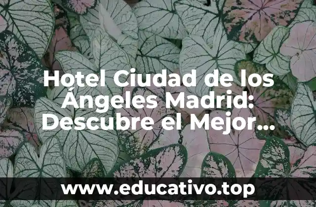 Hotel Ciudad de los Ángeles Madrid: Descubre el Mejor Alojamiento en la Capital Española