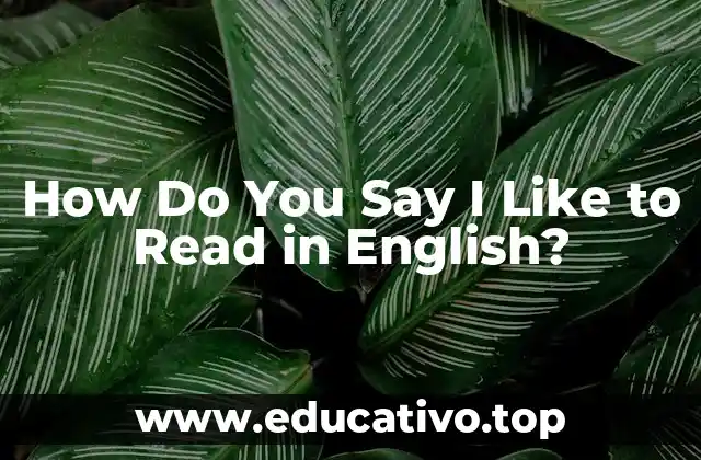 How Do You Say I Like to Read in English?