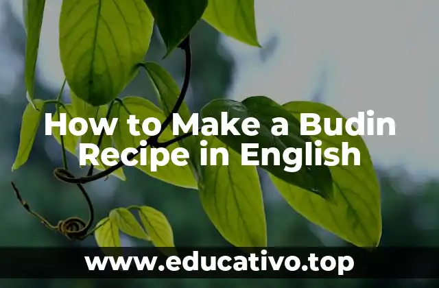 How to Make a Budin Recipe in English