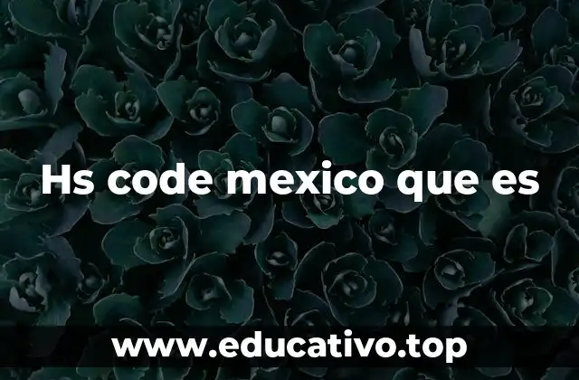 Hs code mexico que es