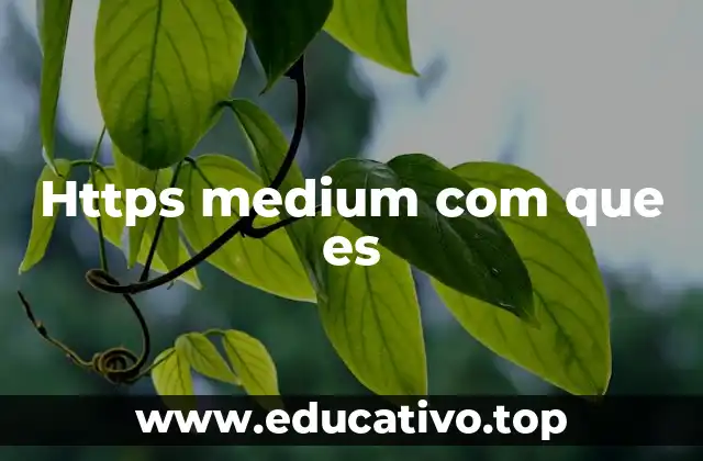 Https medium com que es