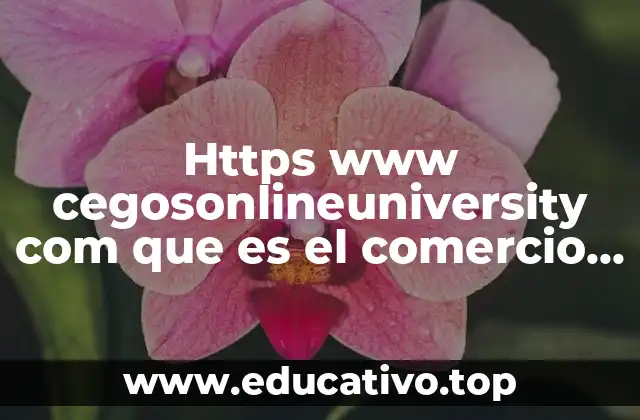 Https www cegosonlineuniversity com que es el comercio electronico