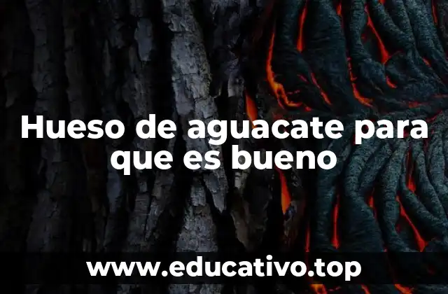 Hueso de aguacate para que es bueno