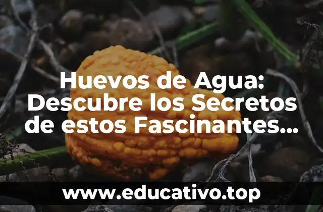 Huevos de Agua: Descubre los Secretos de estos Fascinantes Organismos