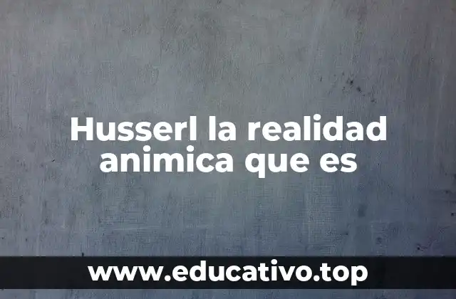 Husserl la realidad animica que es